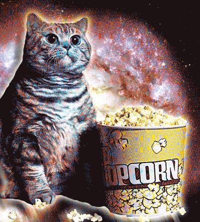 cat with popcorn