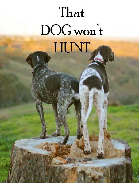 that dog won't hunt